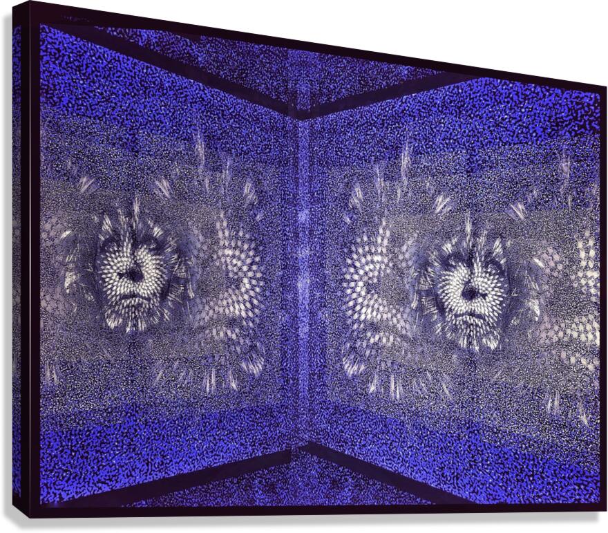 V1107 Canvas Print