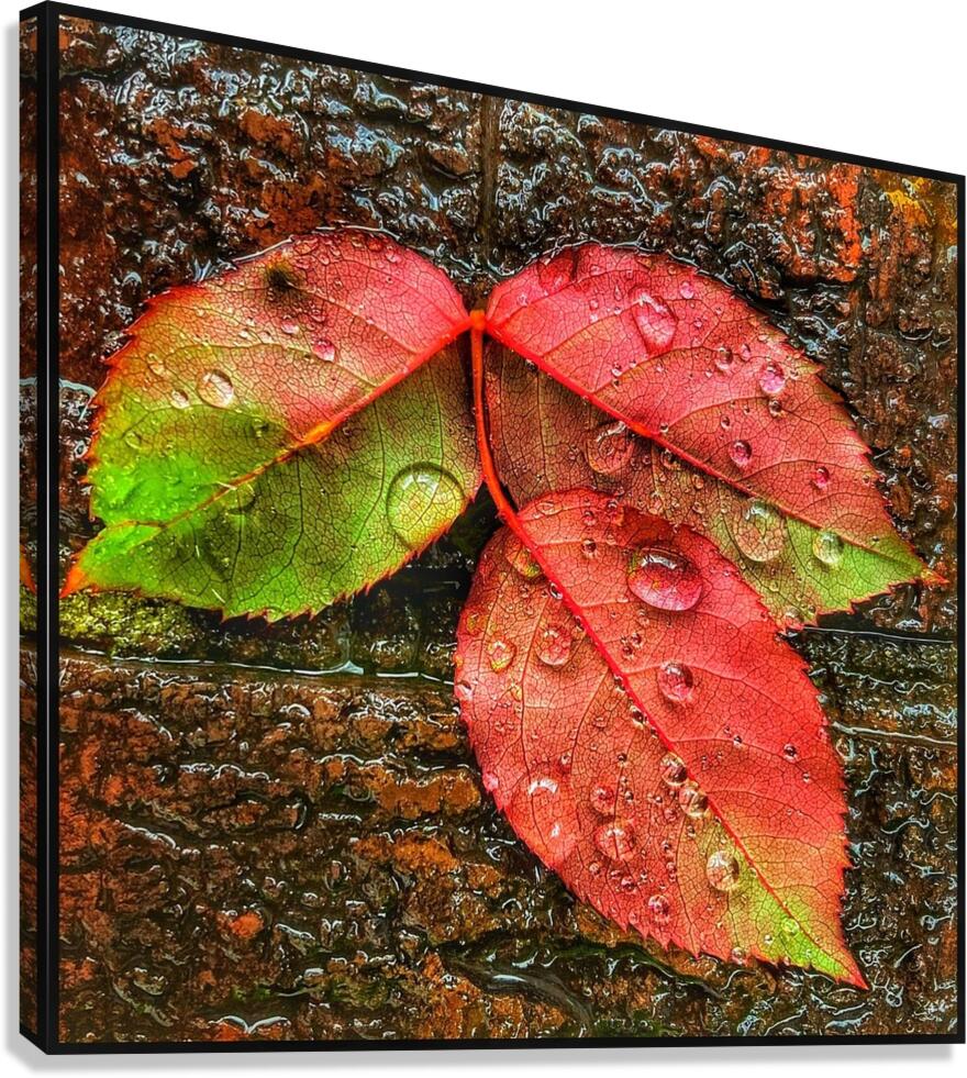 V1110 Canvas Print