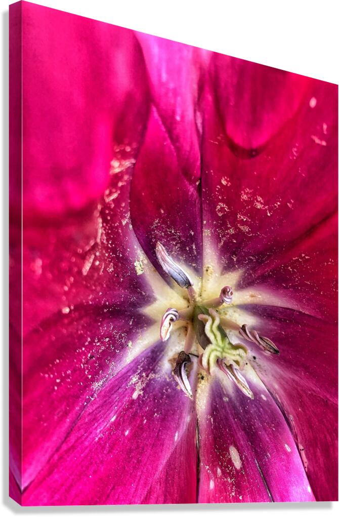 V1119 Canvas Print