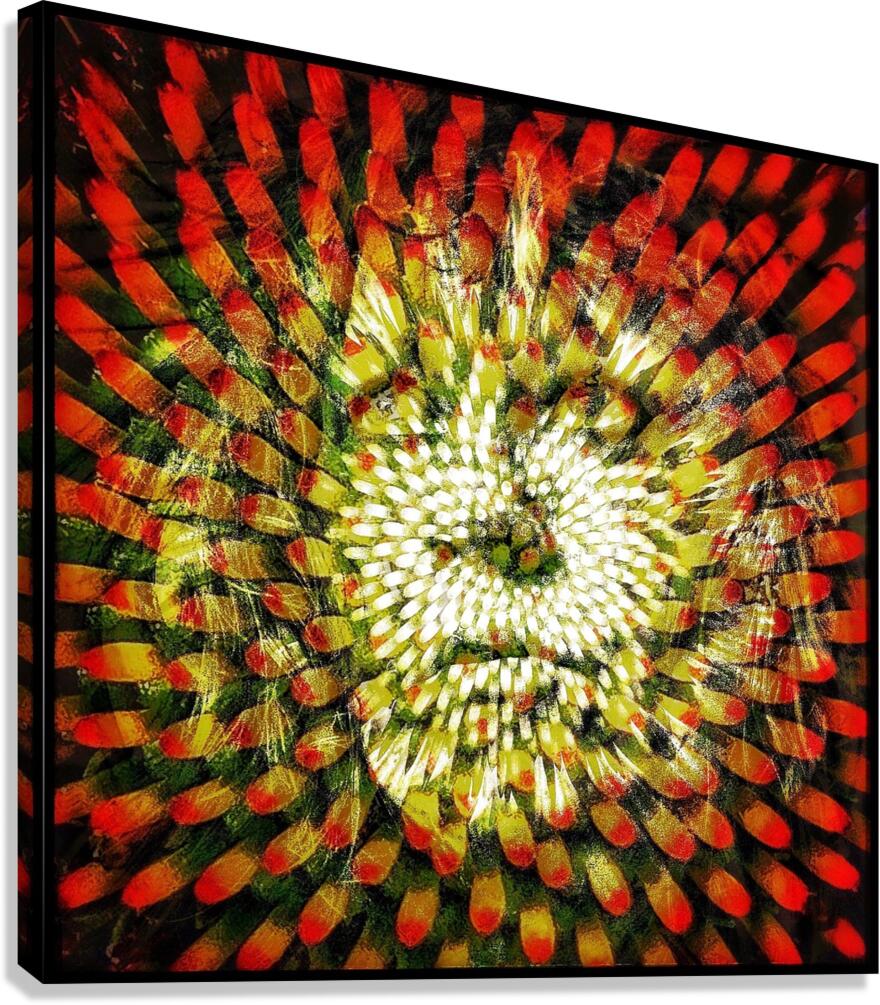 V1142 Canvas Print