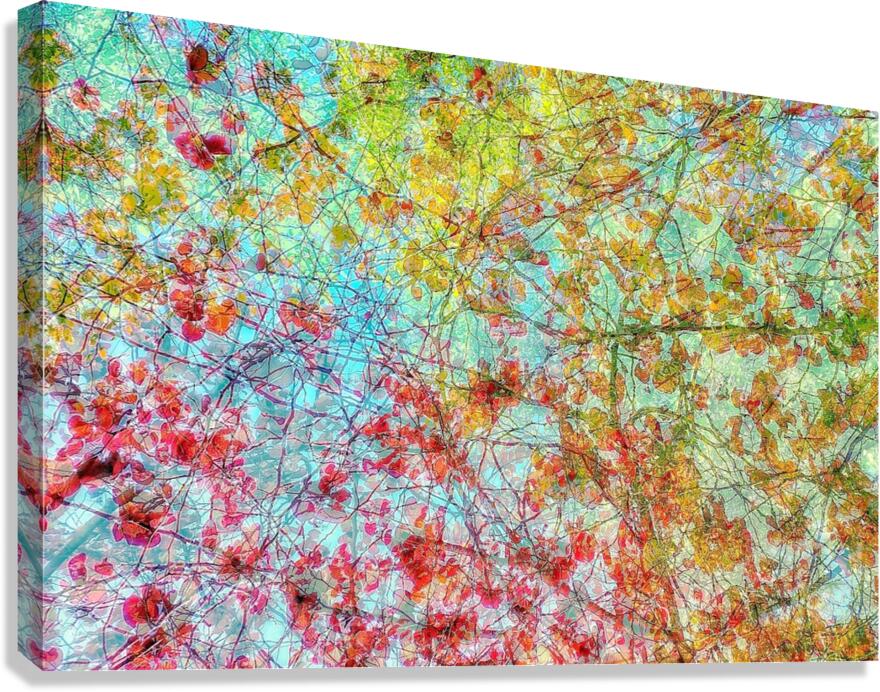 V1144 Canvas Print