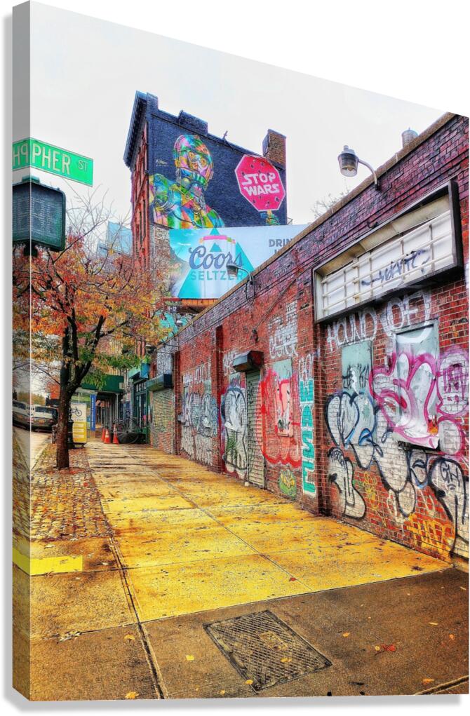 V1152 Canvas Print