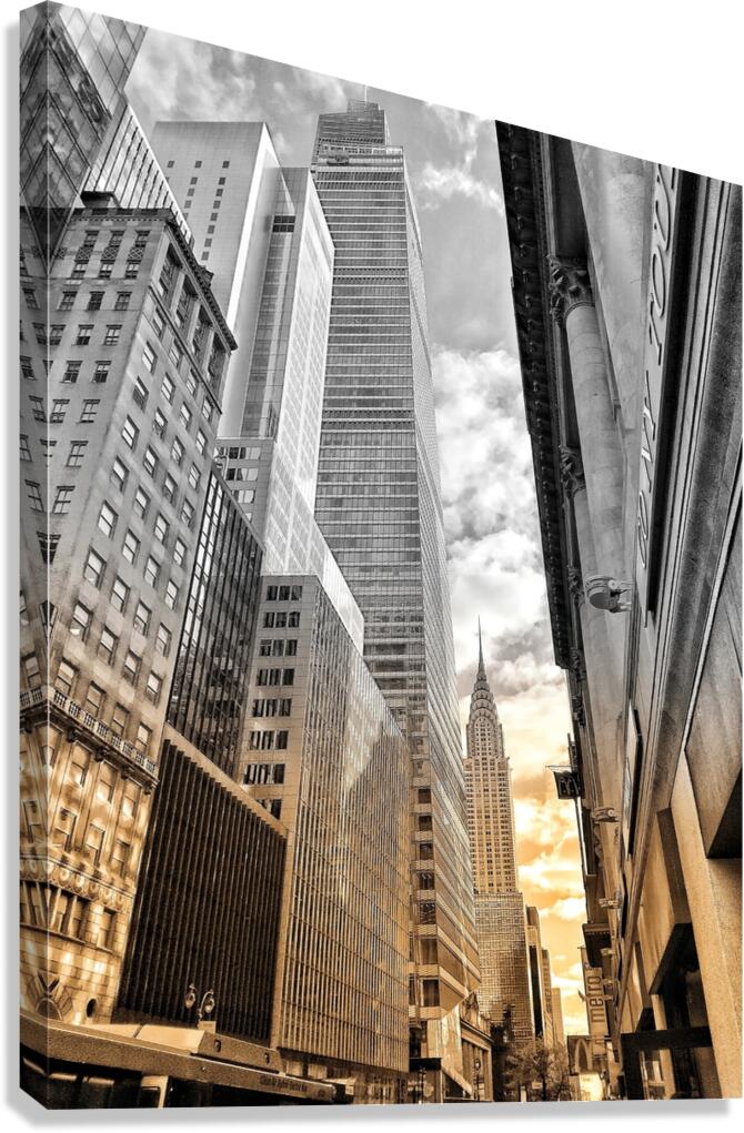 V1154 Canvas Print