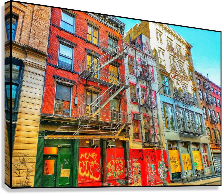 V1157 Canvas Print