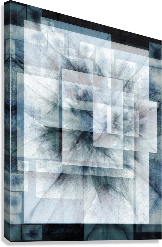 V1164 Canvas Print