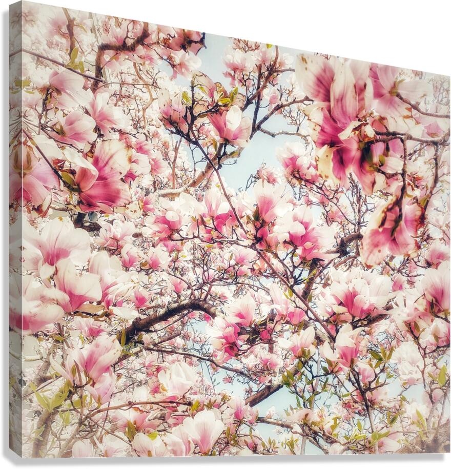 V1171 Canvas Print