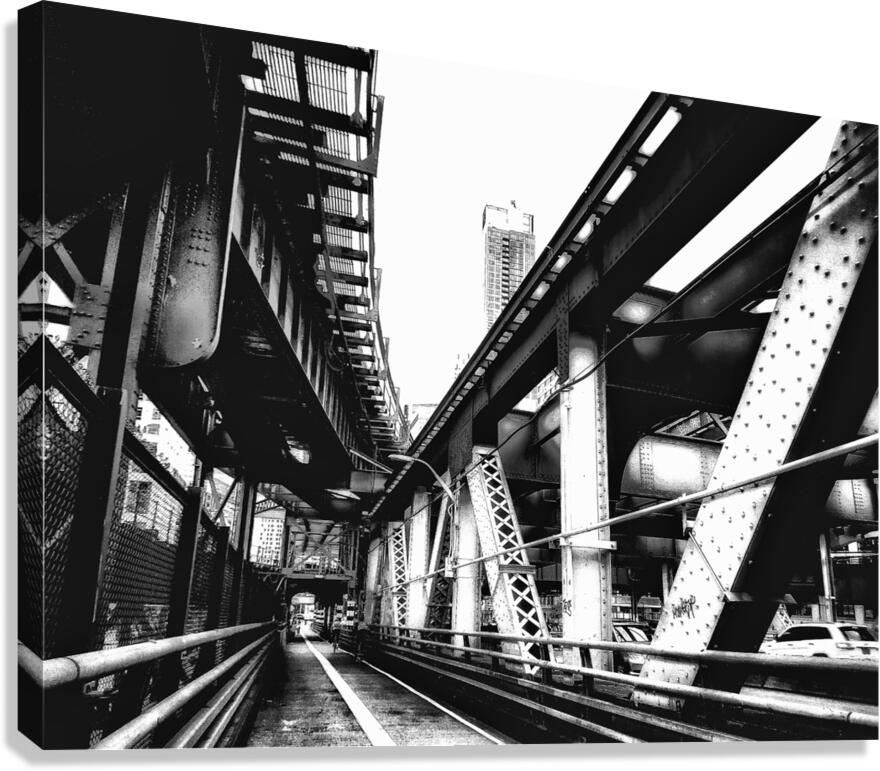 V1176 Canvas Print
