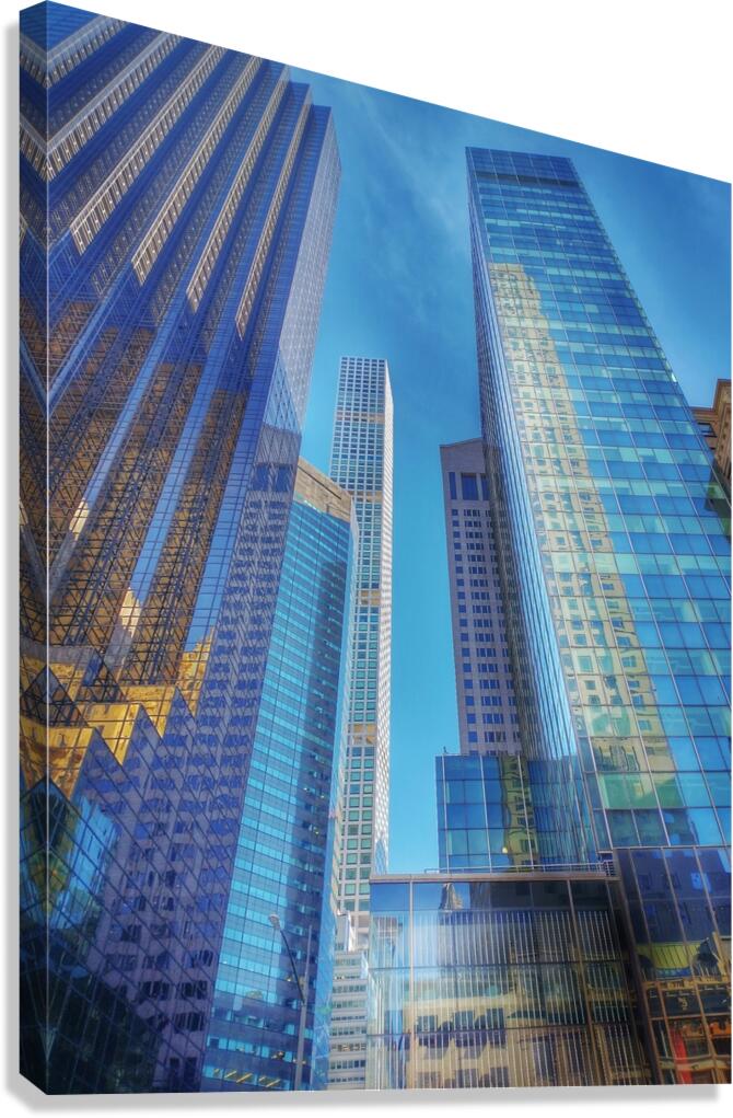 V1180 Canvas Print