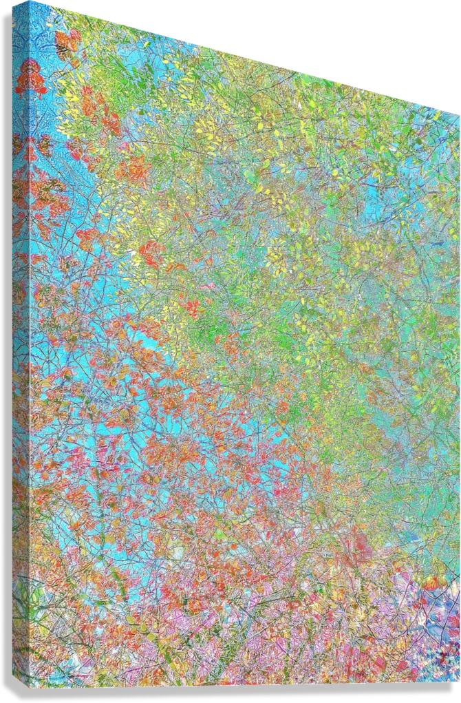 V1181 Canvas Print