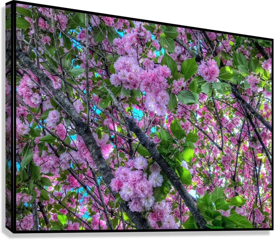 V1182 Canvas Print
