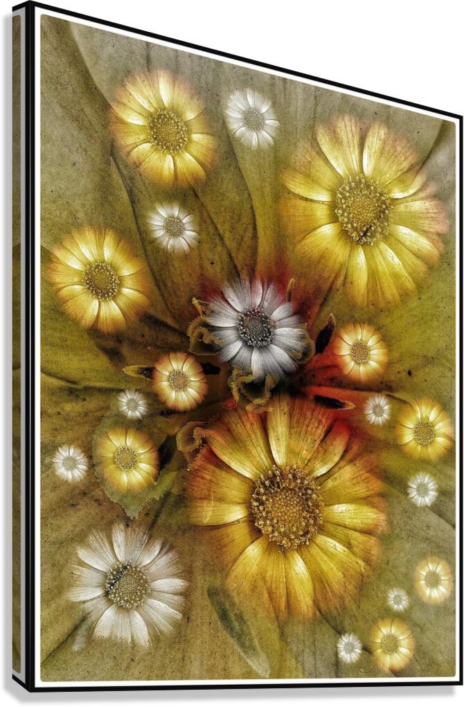 V1185 Canvas Print