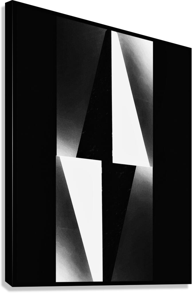 V1197 Canvas Print