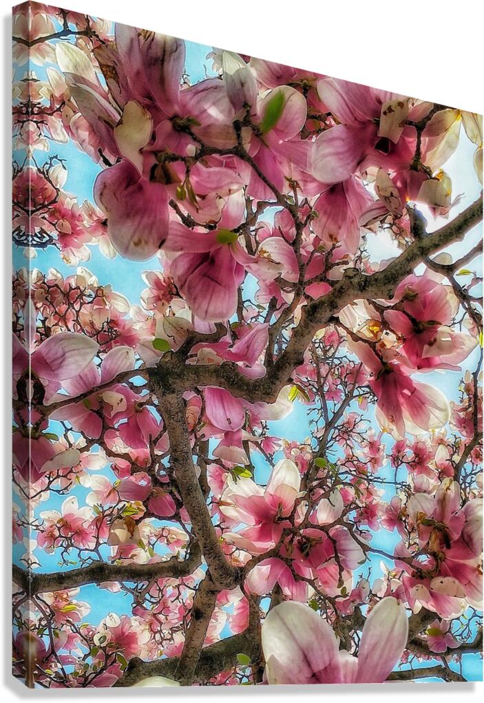 V1204 Canvas Print