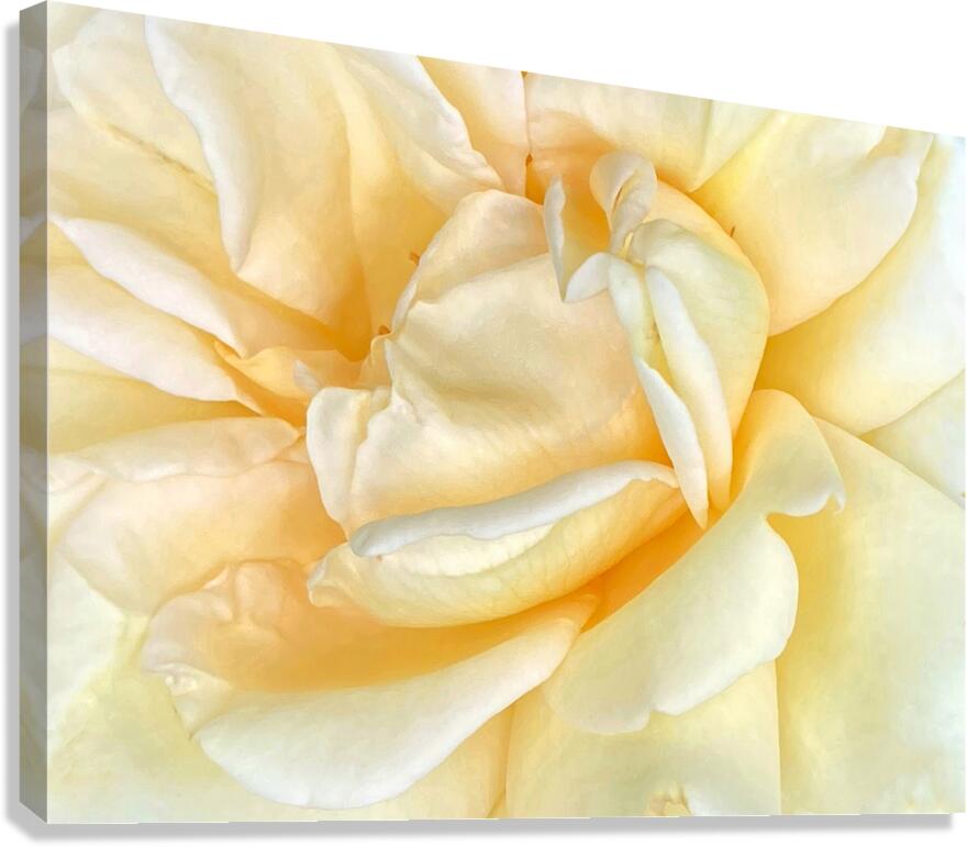 V1207 Canvas Print