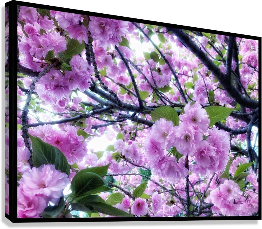 V1208 Canvas Print