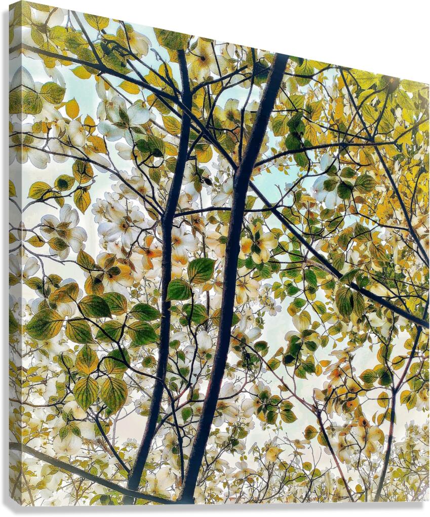V1211 Canvas Print