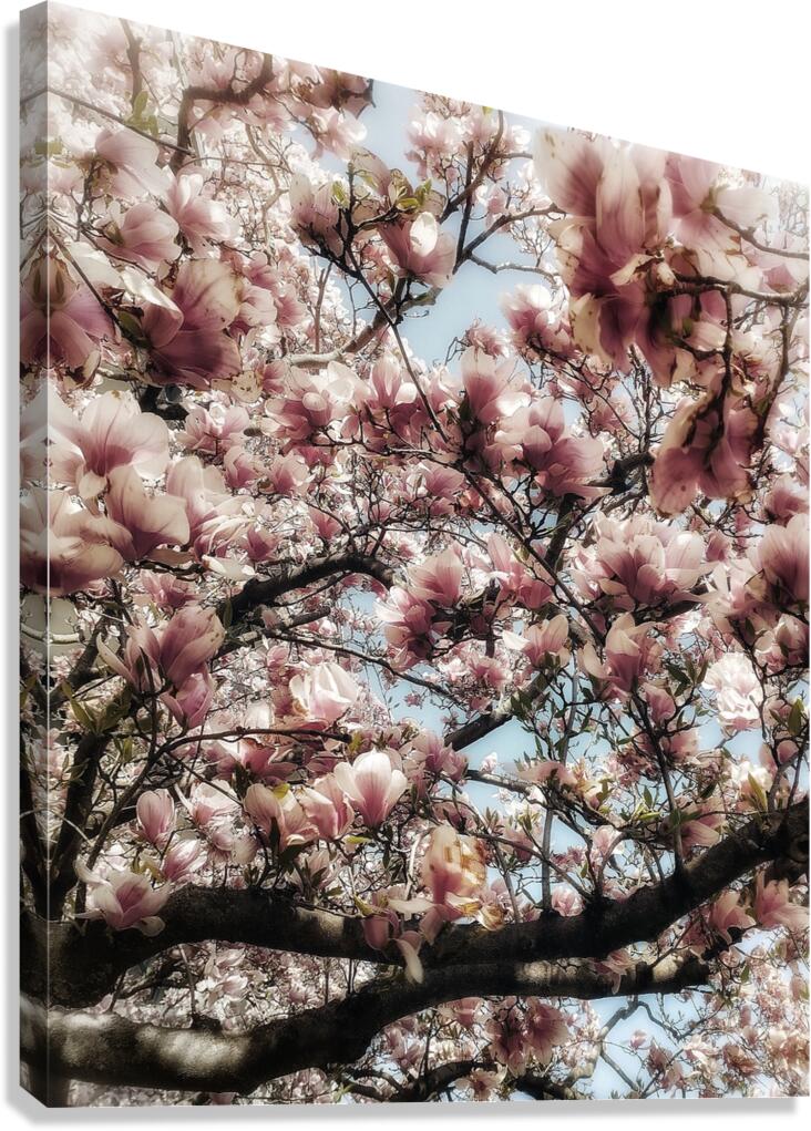 V1216 Canvas Print
