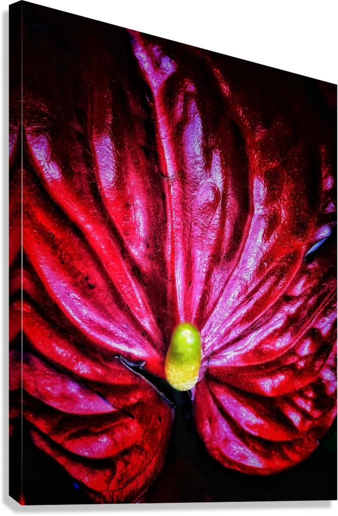 V1217 Canvas Print