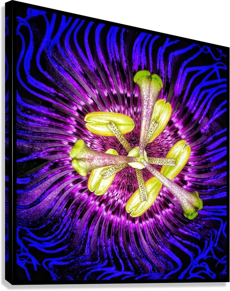 V1219 Canvas Print