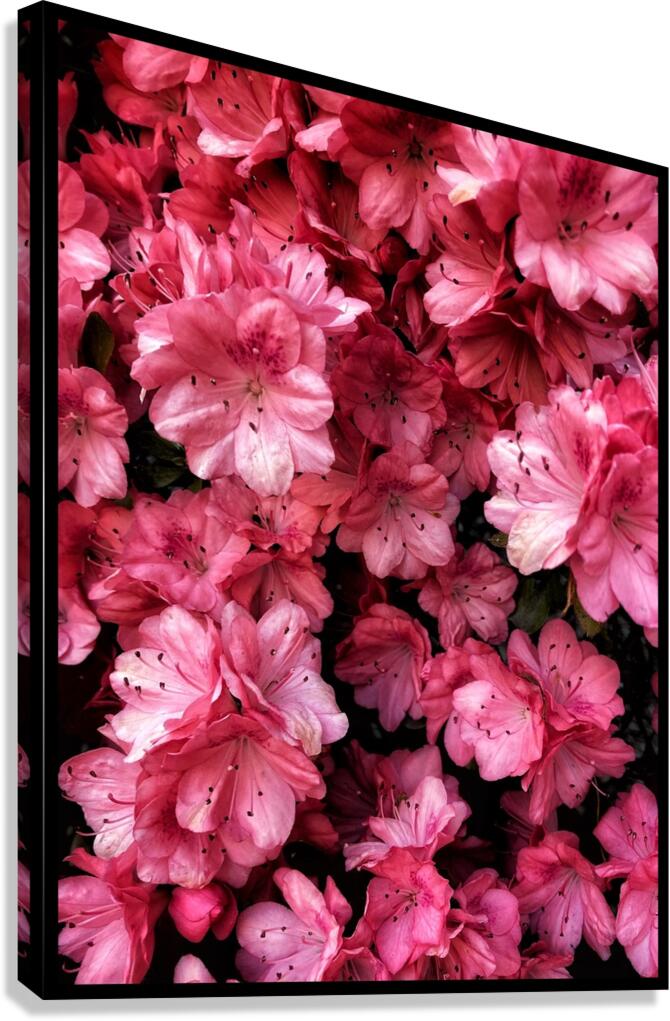 V1220 Canvas Print