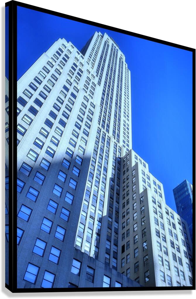 V1221 Canvas Print