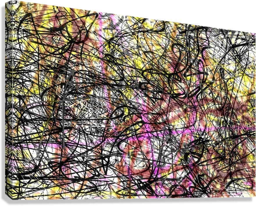 V1230 Canvas Print