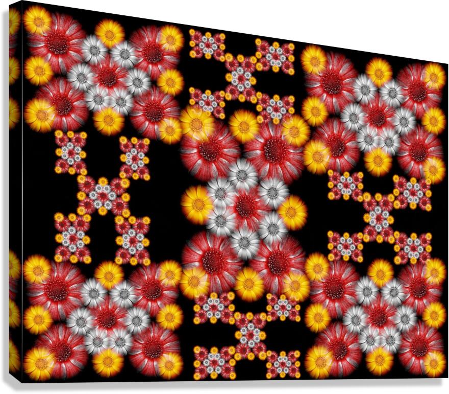 V1240 Canvas Print