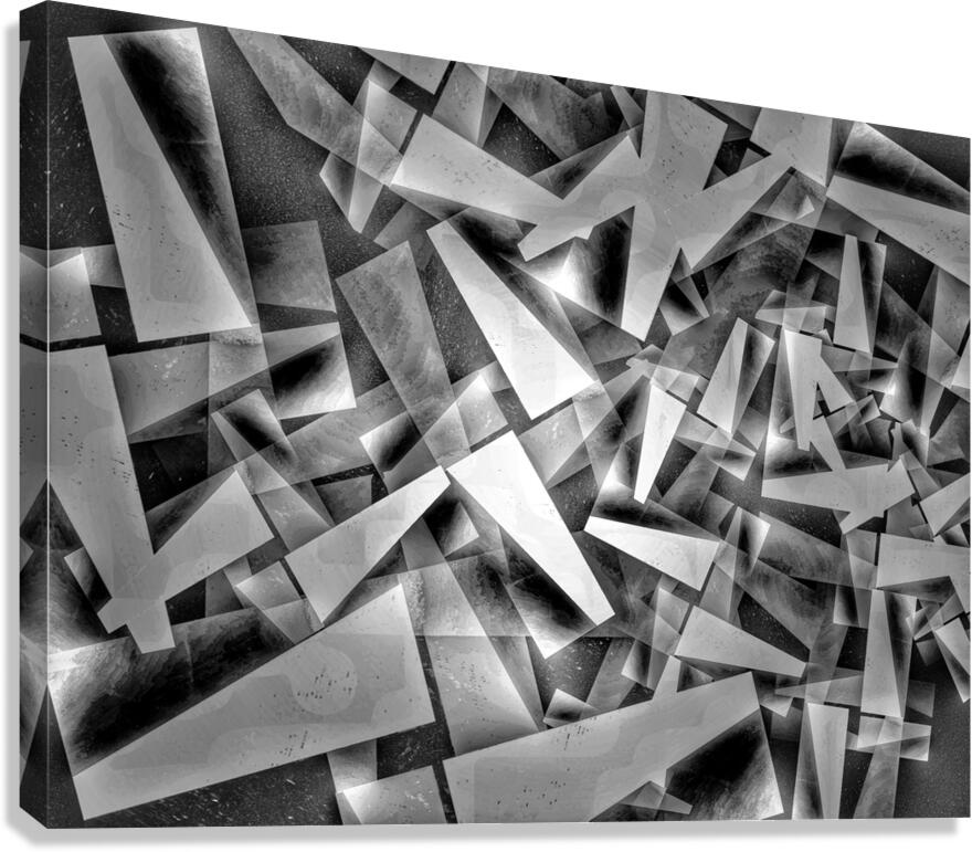 V1241 Canvas Print