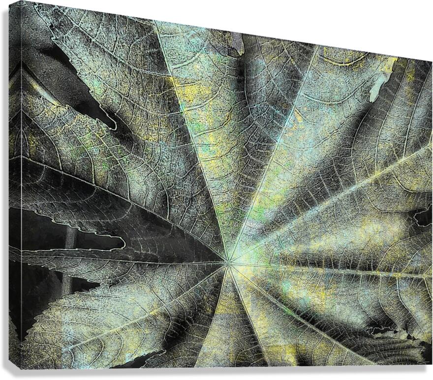 V1245 Canvas Print