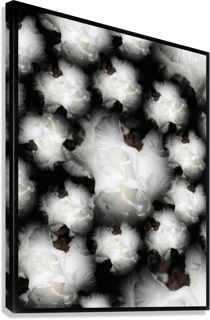 V1246 Canvas Print