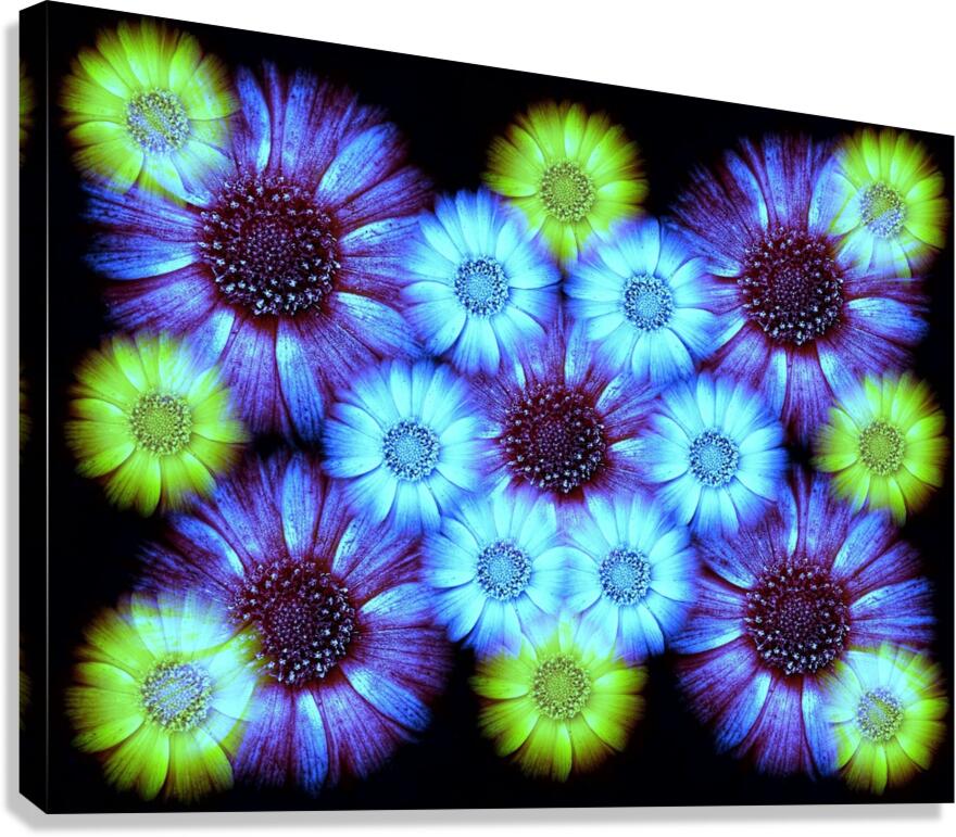 V1247 Canvas Print