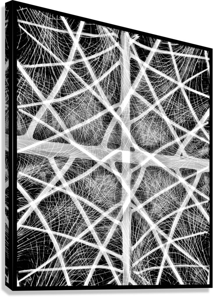 V1253 Canvas Print