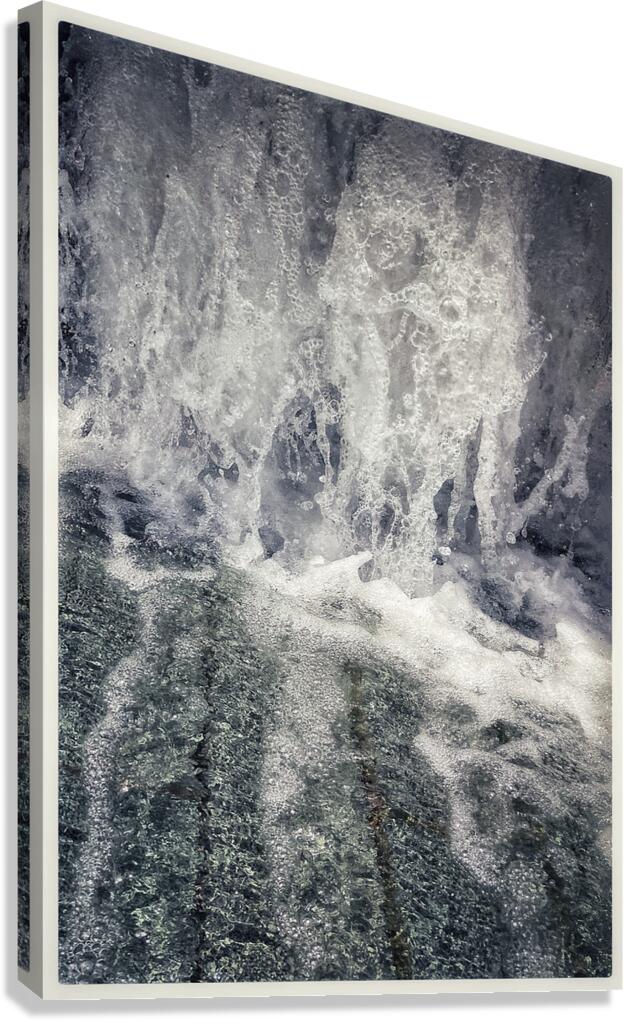 V1260 Canvas Print