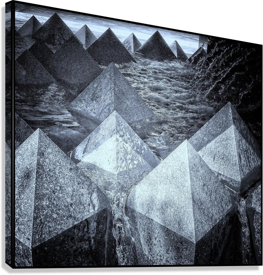 V1263 Canvas Print