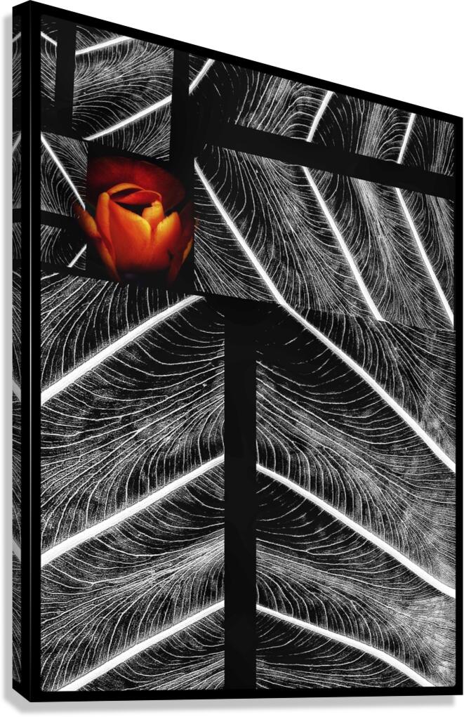 V1269 Canvas Print
