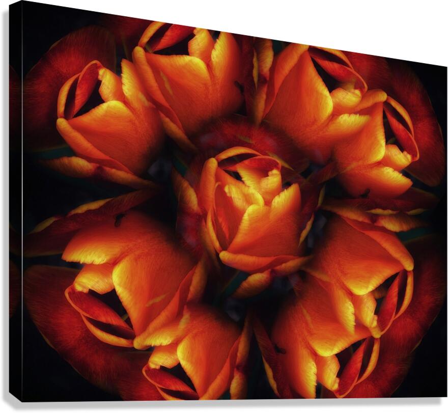 V1270 Canvas Print