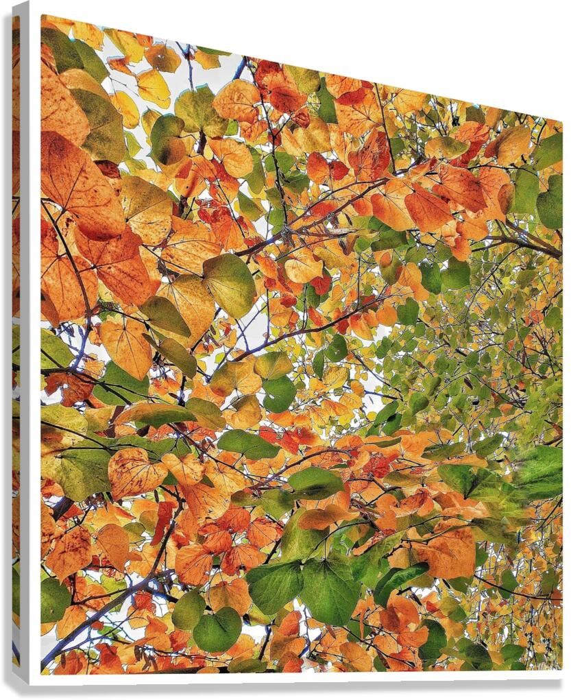 V1273 Canvas Print