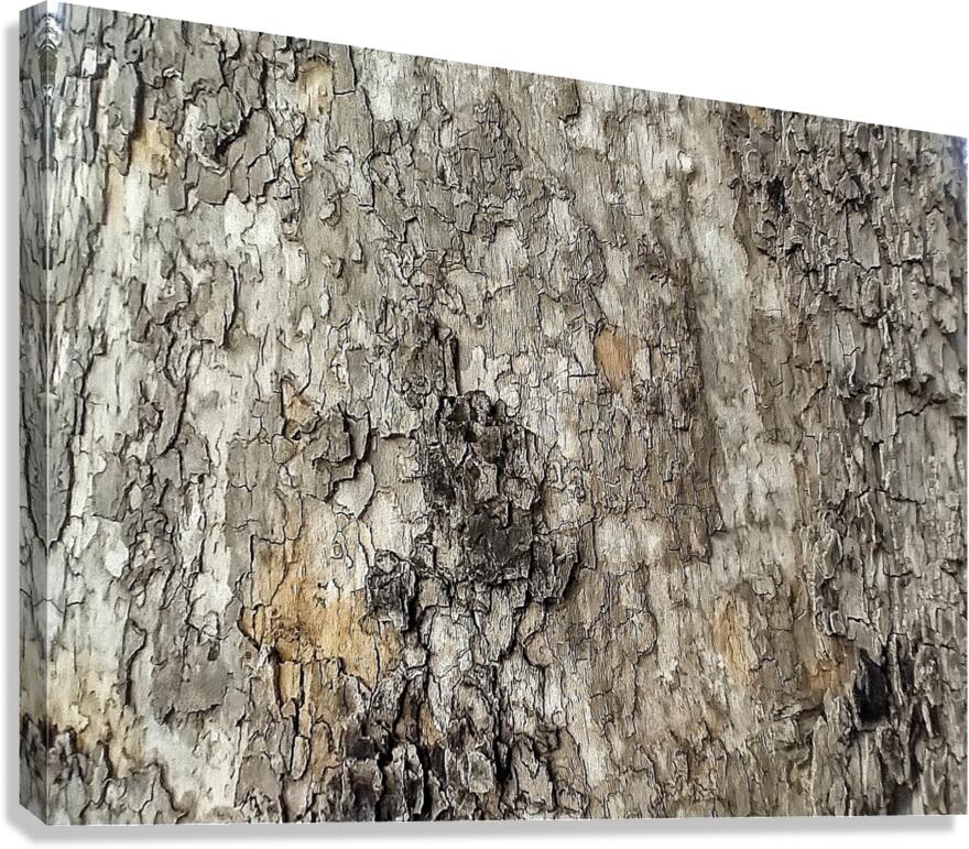V1278 Canvas Print