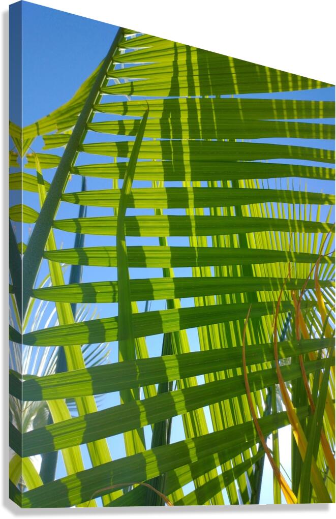 V1281 Canvas Print
