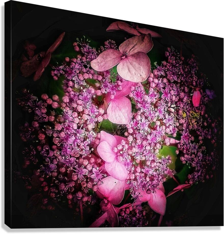 V1282 Canvas Print