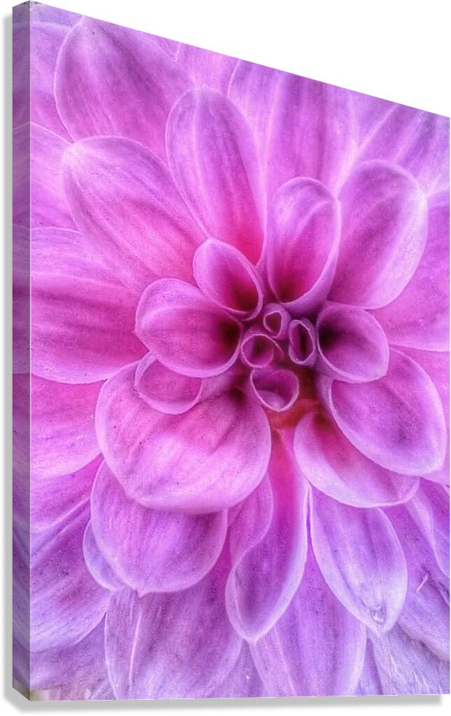 V1284 Canvas Print