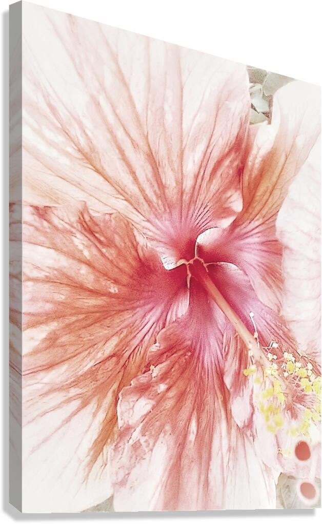 V1285 Canvas Print