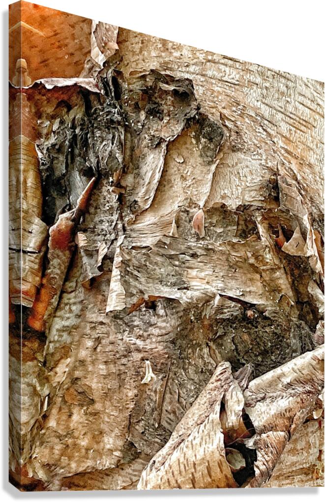 V1288 Canvas Print
