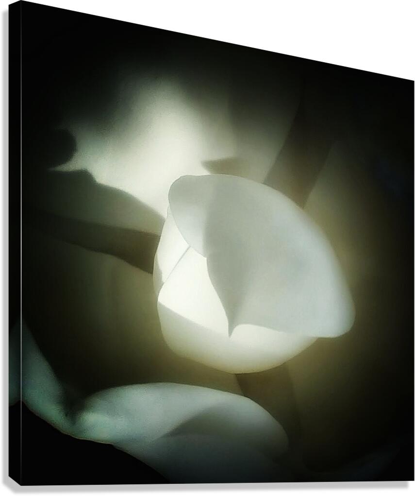 V1291 Canvas Print