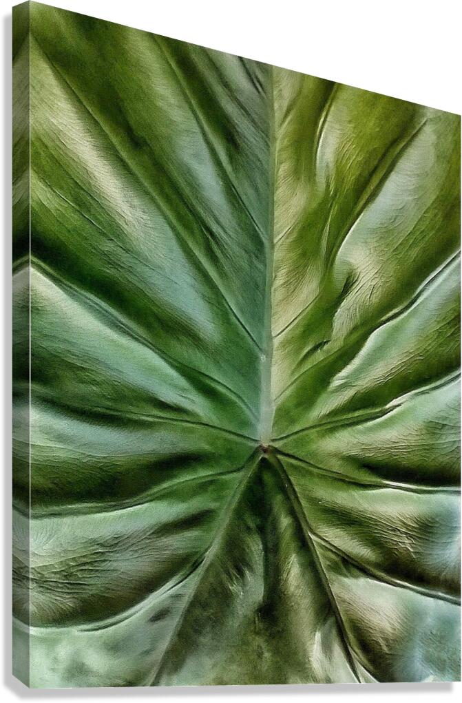 V1294 Canvas Print