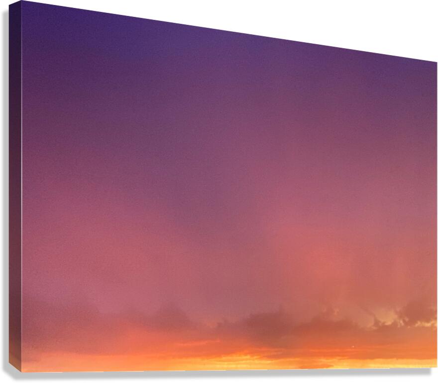 V1301 Canvas Print