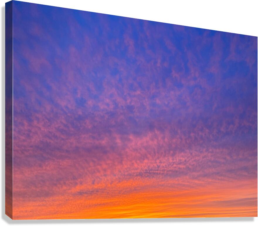 V1302 Canvas Print