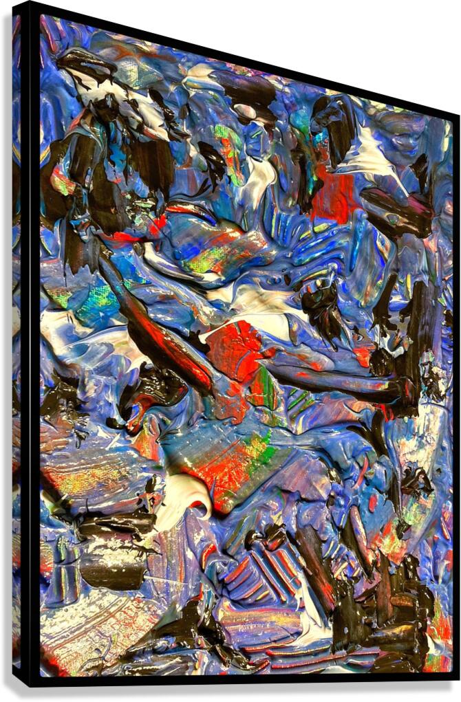 V1303 Canvas Print