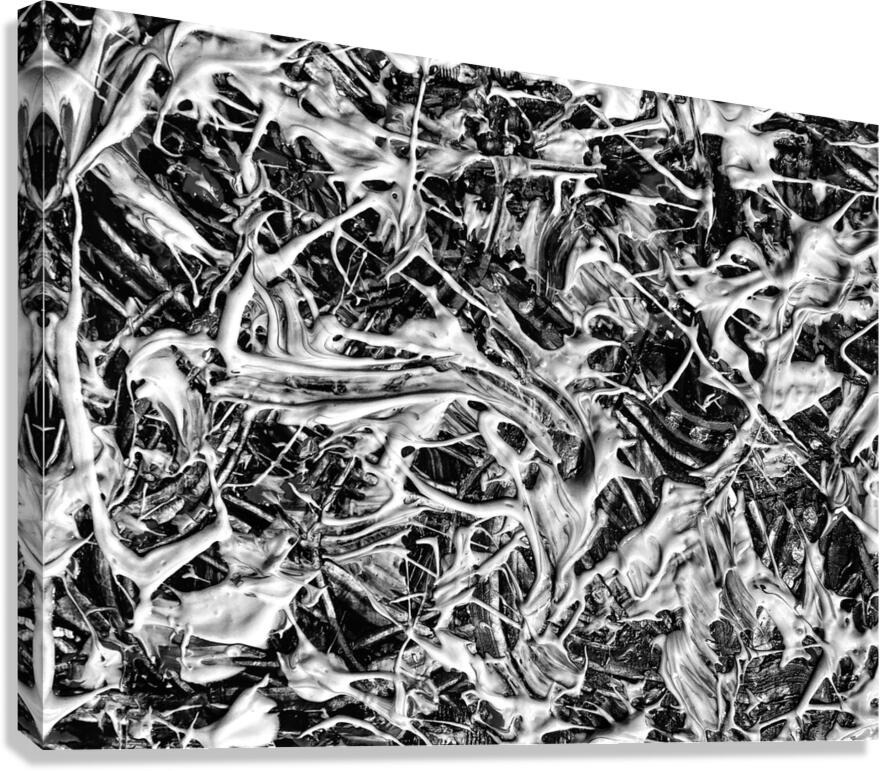 V1304 Canvas Print