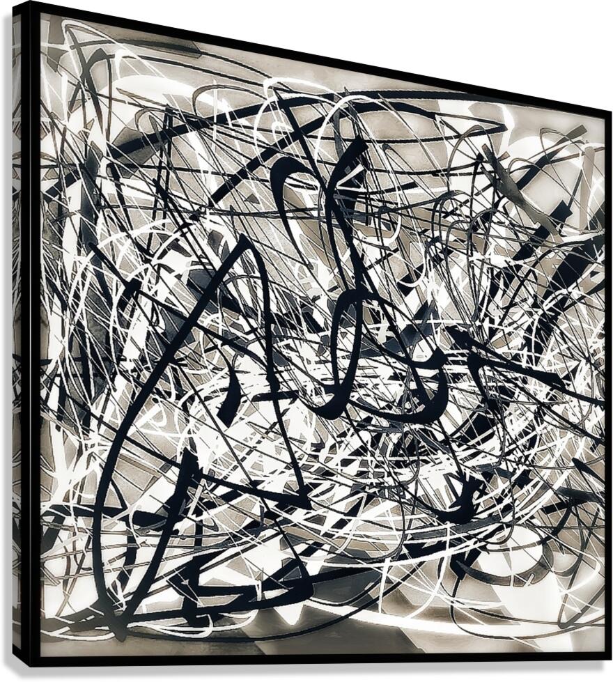 V1308 Canvas Print